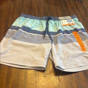 NWT HURLEY Men's Striped Swim Shorts - Blue and Gray